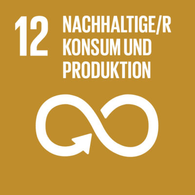 Icon SDG-Ziel 12