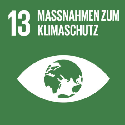 Icon SDG-Ziel 13