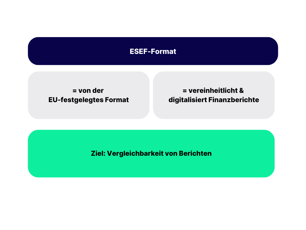 ESEF-Format